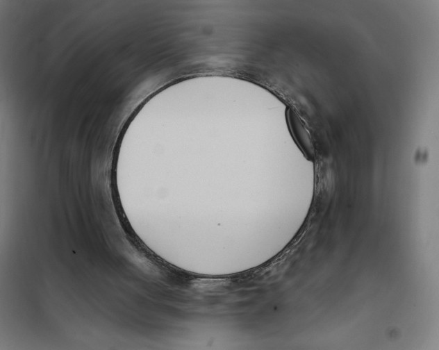 X0000101200051200807251035