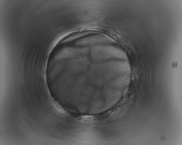 X0000101200052200807251035