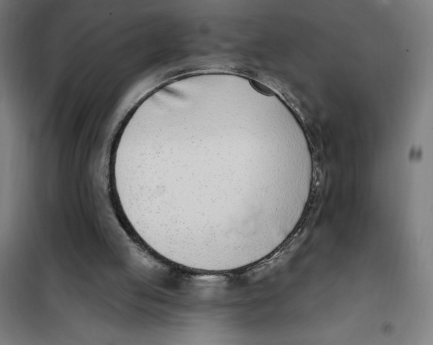 X0000101200053200807251035