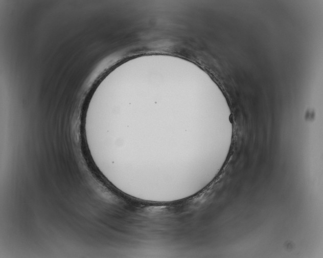 X0000101200054200807251035