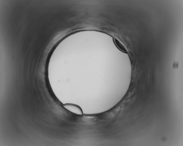 X0000101200055200807251035