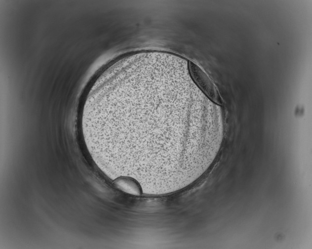 X0000101200056200807251035