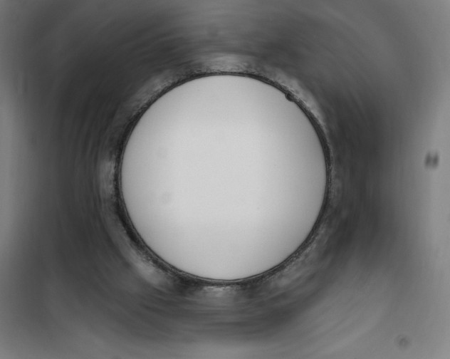 X0000101200057200807251035