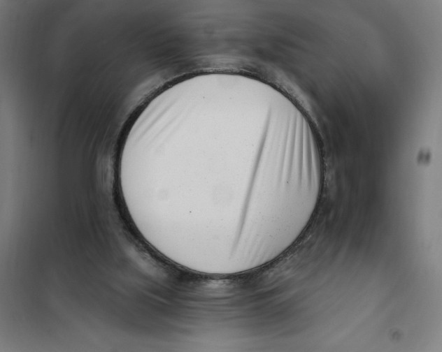 X0000101200059200807251035