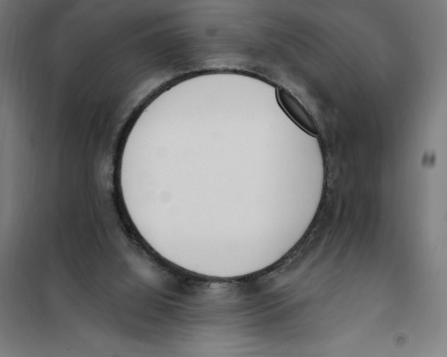 X0000101200060200807251035