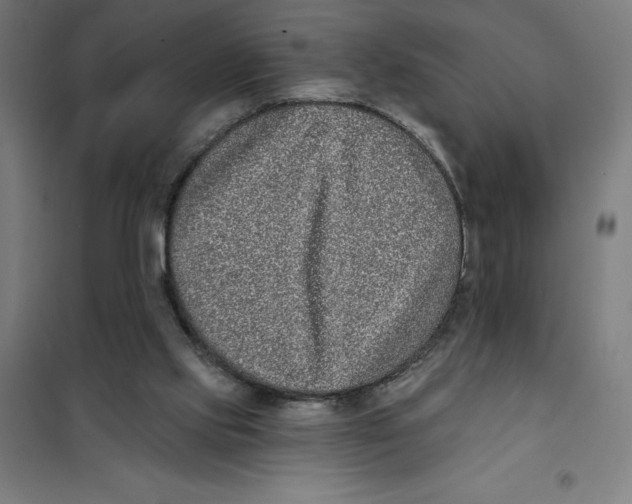 X0000101200061200807251035
