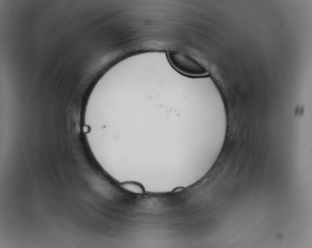 X0000101200062200807251035