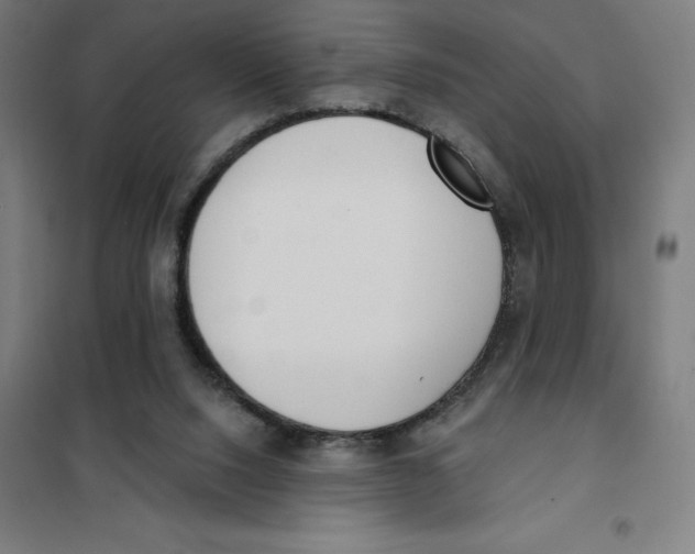 X0000101200064200807251035