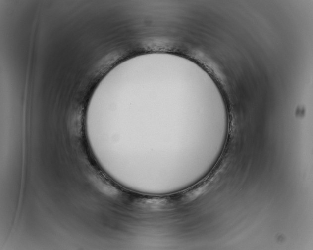 X0000101200065200807251035