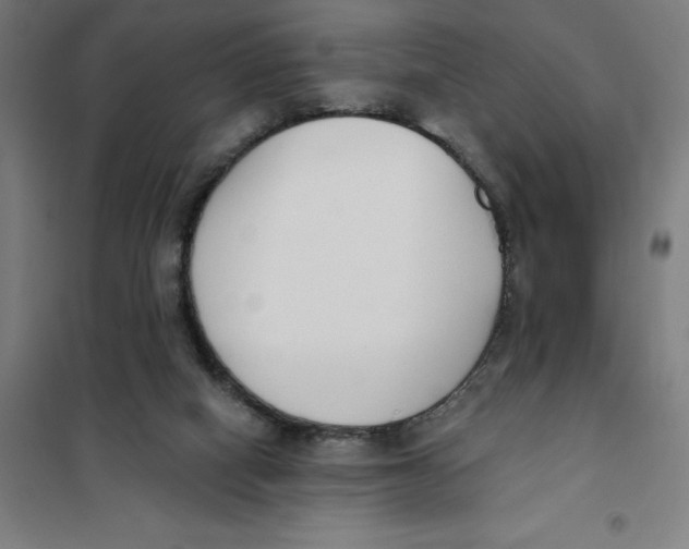 X0000101200066200807251035
