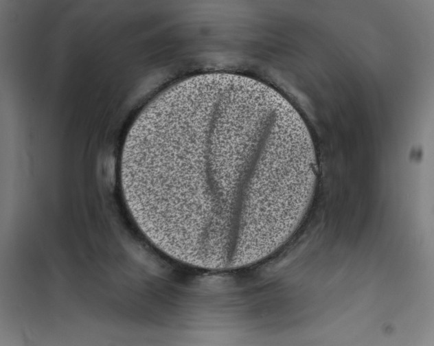 X0000101200067200807251035