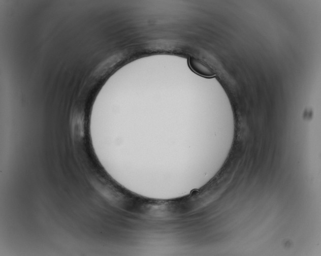 X0000101200068200807251035