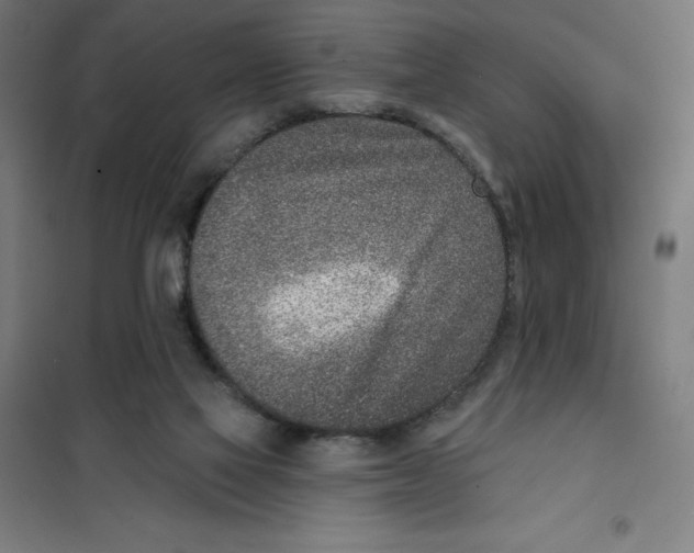 X0000101200069200807251036