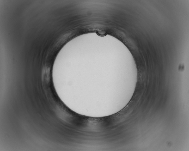 X0000101200070200807251036
