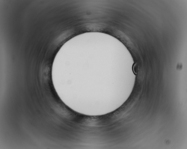 X0000101200071200807251036