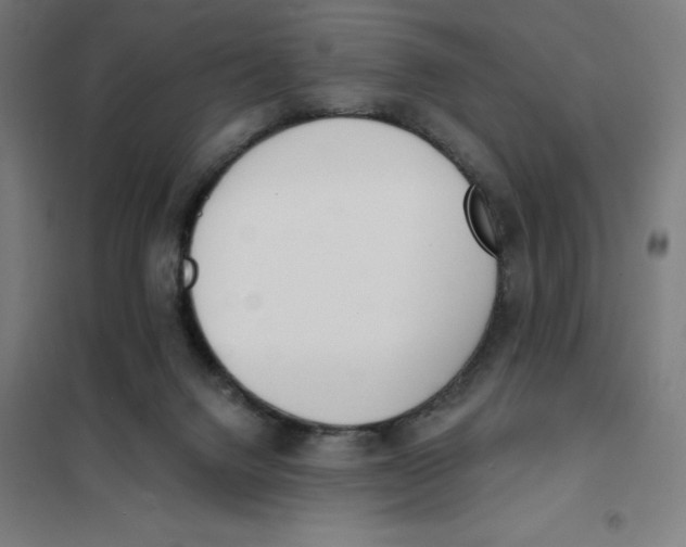 X0000101200072200807251036