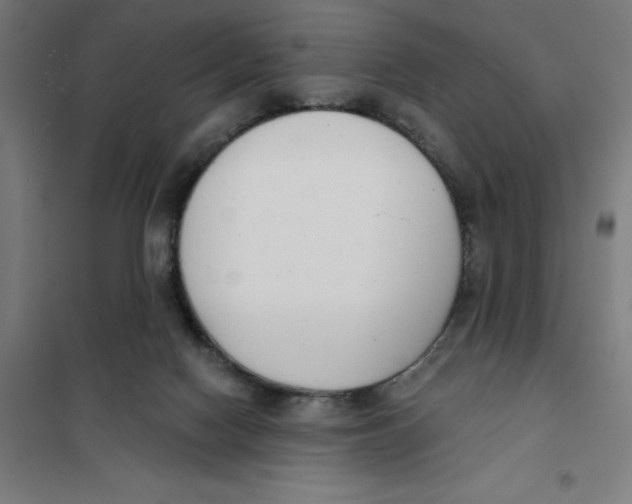 X0000101200074200807251036