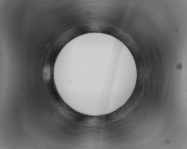 X0000101200075200807251036
