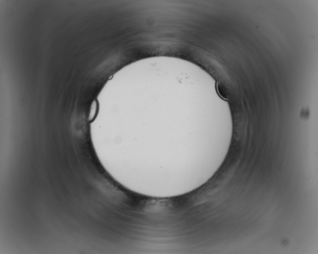 X0000101200077200807251036