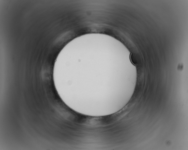 X0000101200078200807251036
