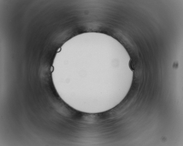 X0000101200079200807251036