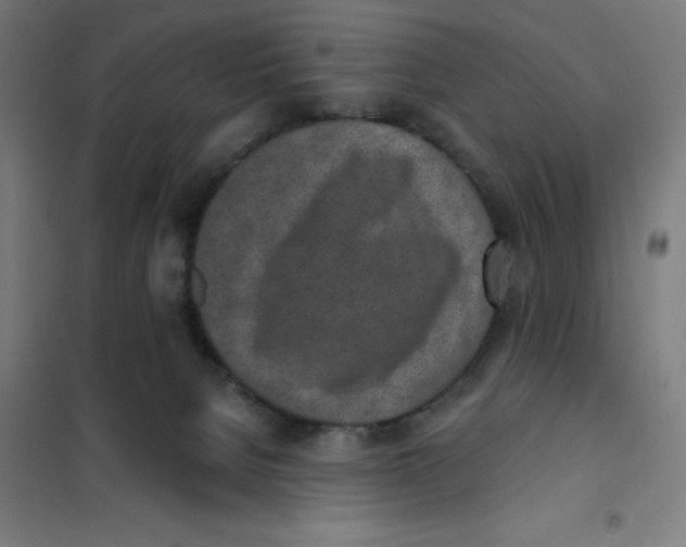 X0000101200080200807251036