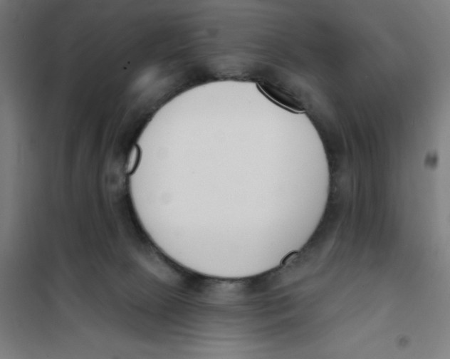 X0000101200081200807251036