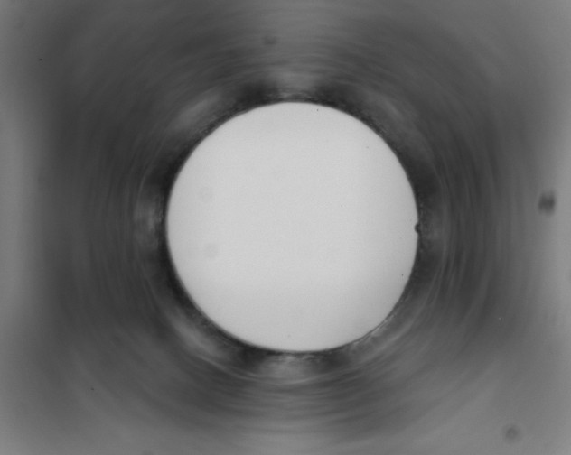 X0000101200082200807251036