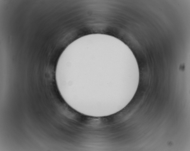 X0000101200083200807251036