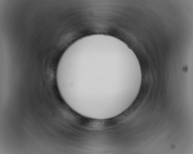 X0000101200084200807251036