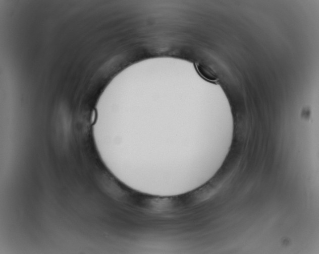 X0000101200085200807251036