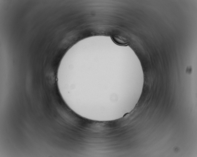X0000101200086200807251036