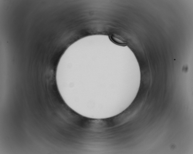 X0000101200087200807251036