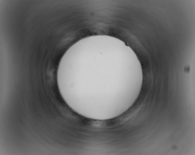X0000101200088200807251036