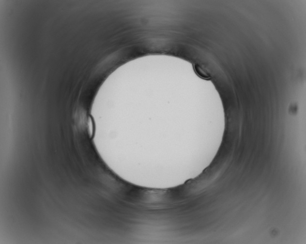 X0000101200089200807251036
