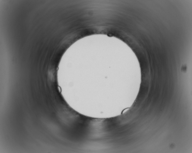 X0000101200090200807251036