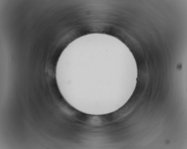 X0000101200091200807251036
