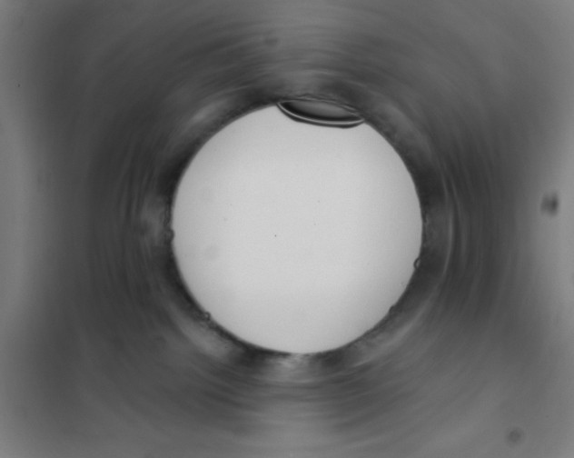 X0000101200092200807251036