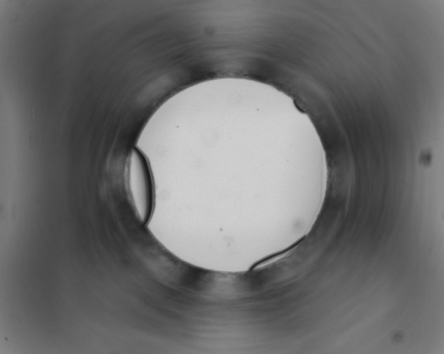 X0000101200093200807251036