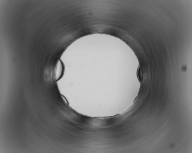 X0000101200094200807251036