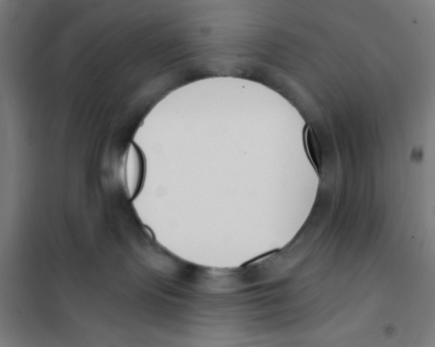 X0000101200095200807251036