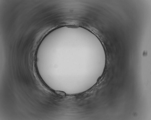 X0000101200097200807251035