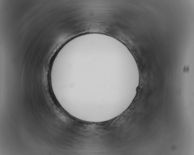 X0000101200098200807251035