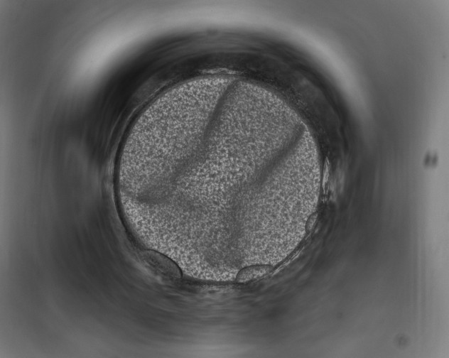 X0000101200099200807251035