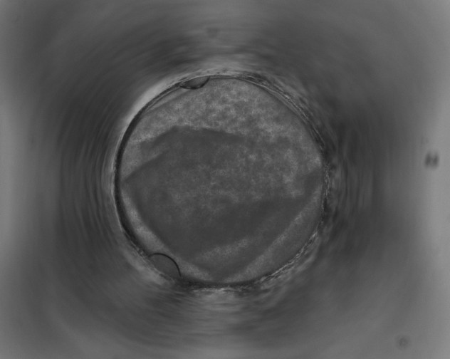 X0000101200100200807251035