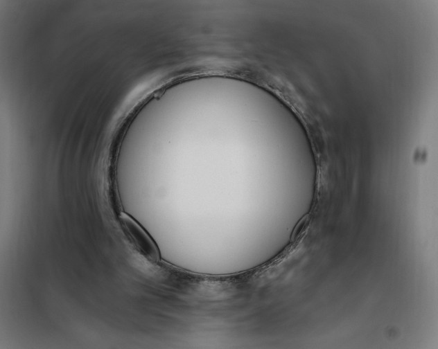 X0000101200101200807251035