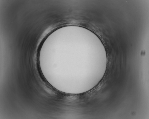 X0000101200102200807251035