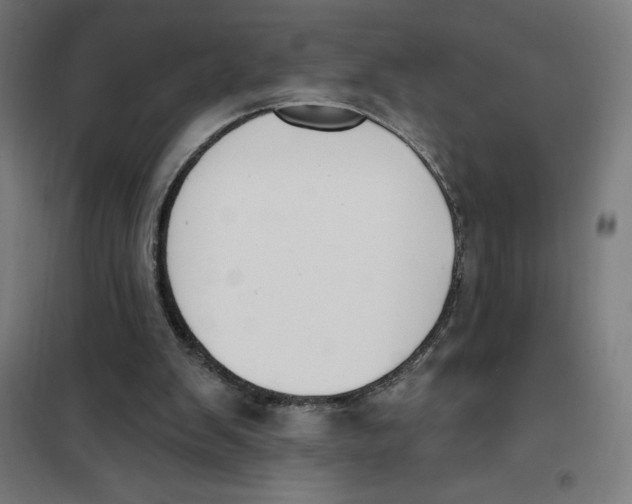 X0000101200103200807251035