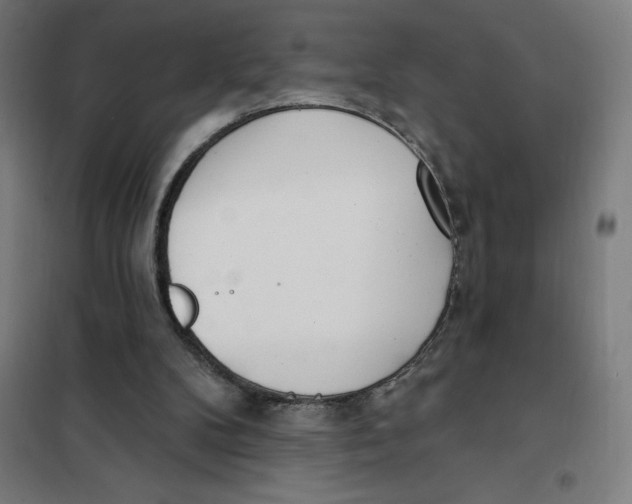 X0000101200104200807251035