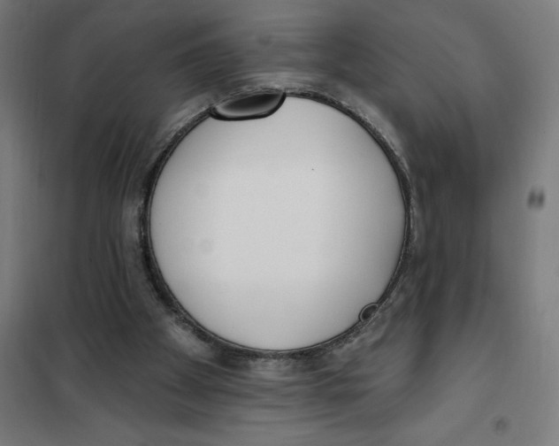 X0000101200105200807251035